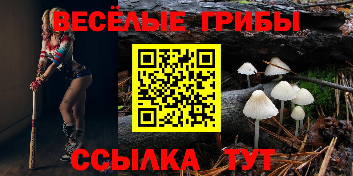 Ногинск  Галлюциногенные грибы Psilocybe  Псилоцибиновые грибы прущие грибы  Вход с VPN 