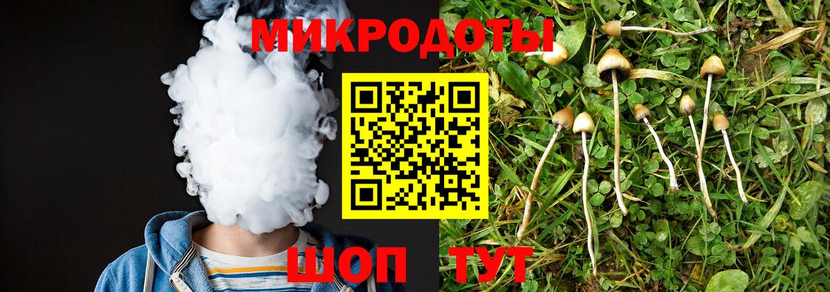 Псилоцибиновые грибы мухоморы Ногинск